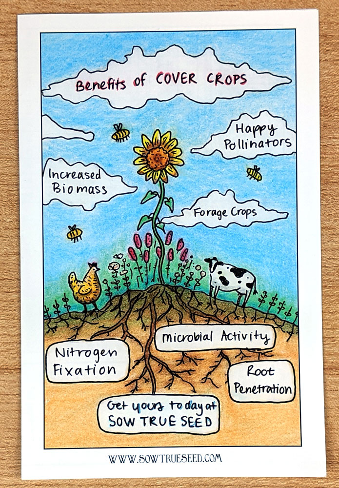 Cover crops brochure illustration