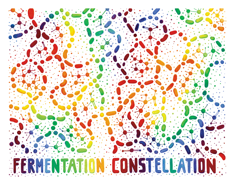 Fermentation Constellation Illustration
