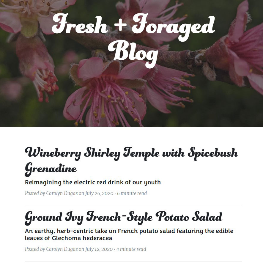 Fresh + Foraged blog web design