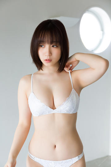 海岸大街上的猫咪侦探