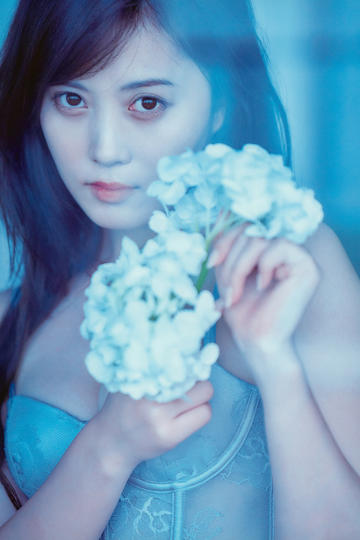 飞虎雄师之再战江湖