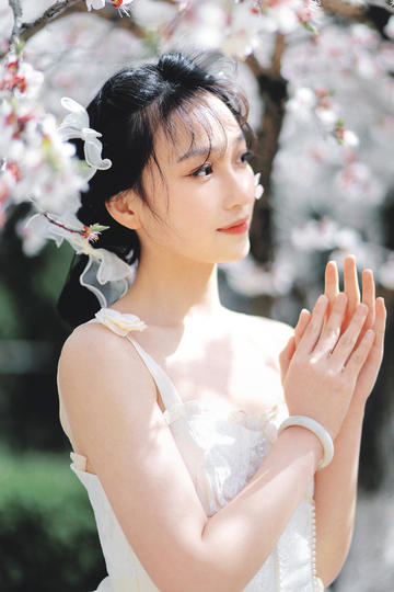 潜行者（国语版）